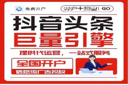 SEM代运营案例分析：精准投放策略解析